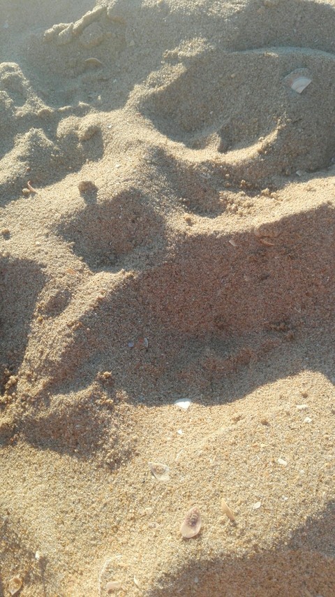 Beach sand