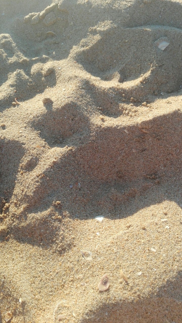 Beach sand