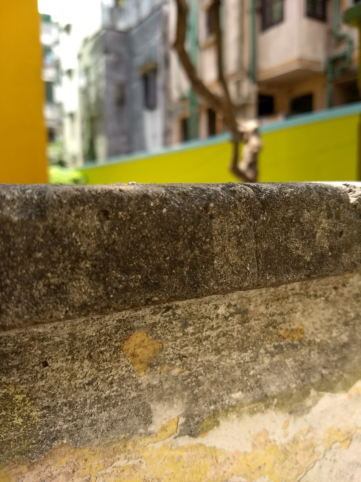 Boundary wall