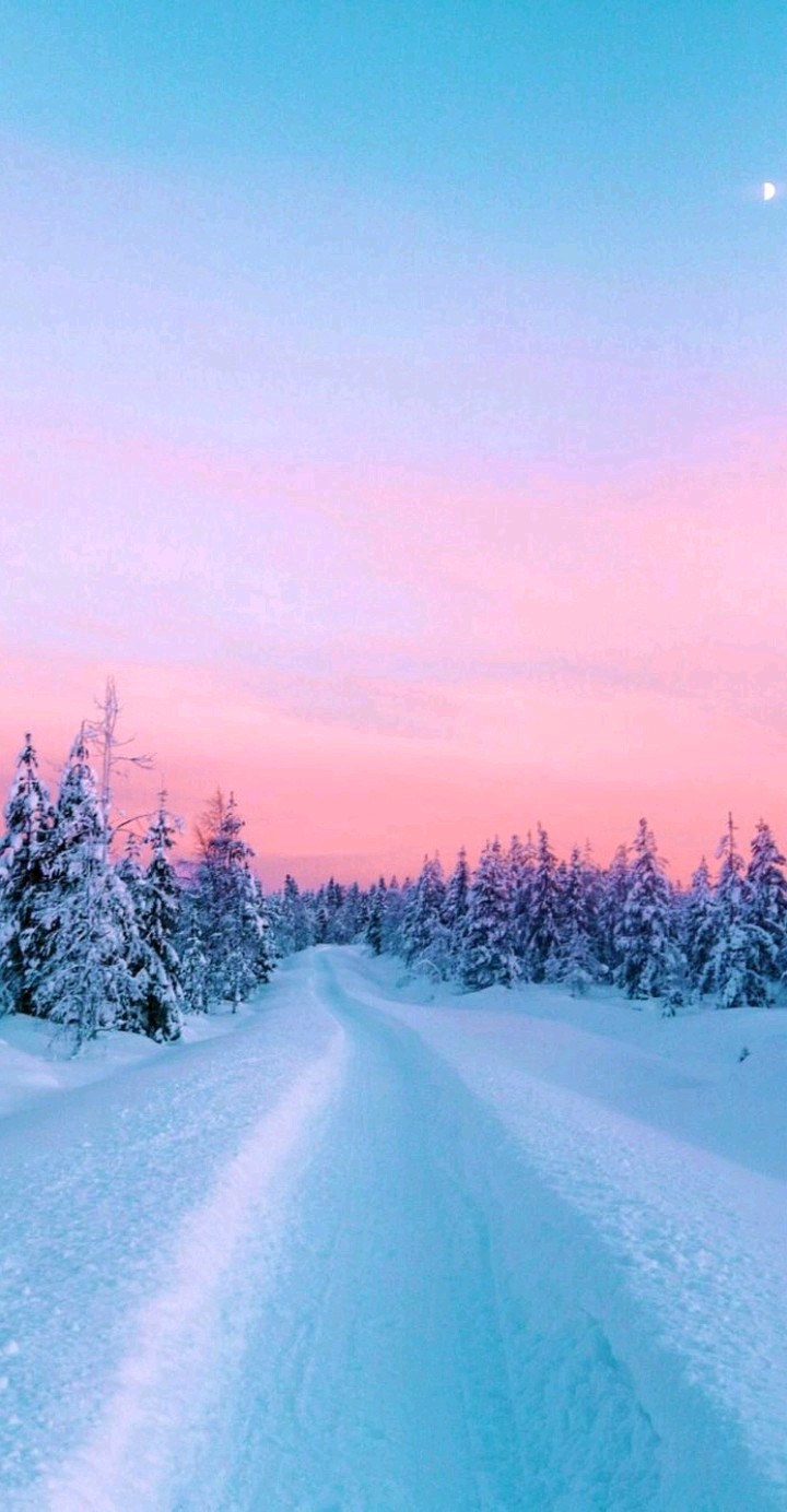 paradise snow