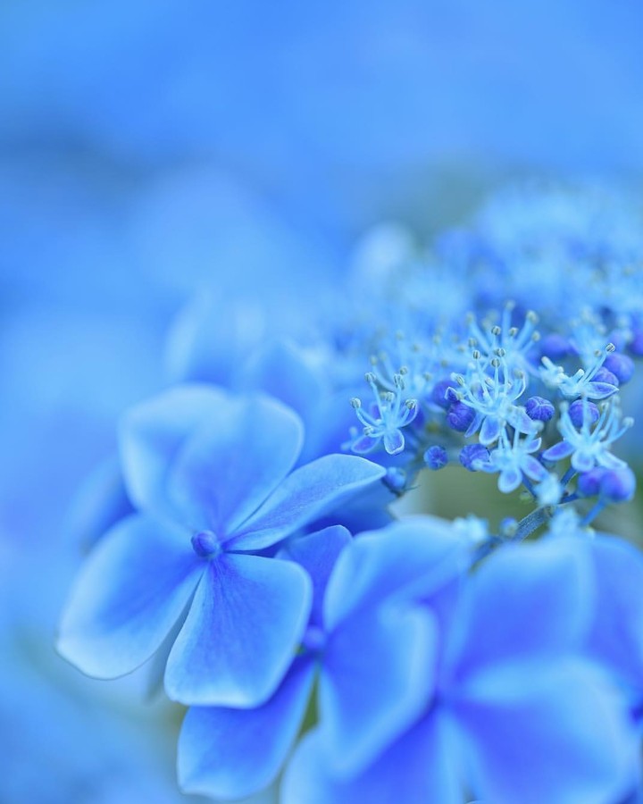 baby blue