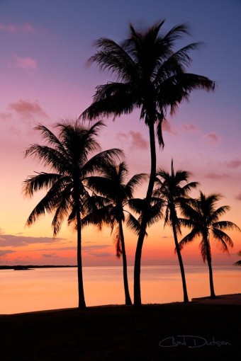 Beautiful beach
