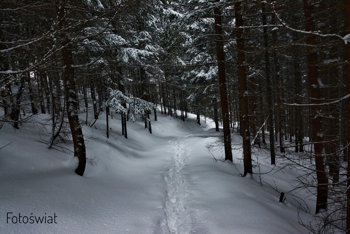 Winter