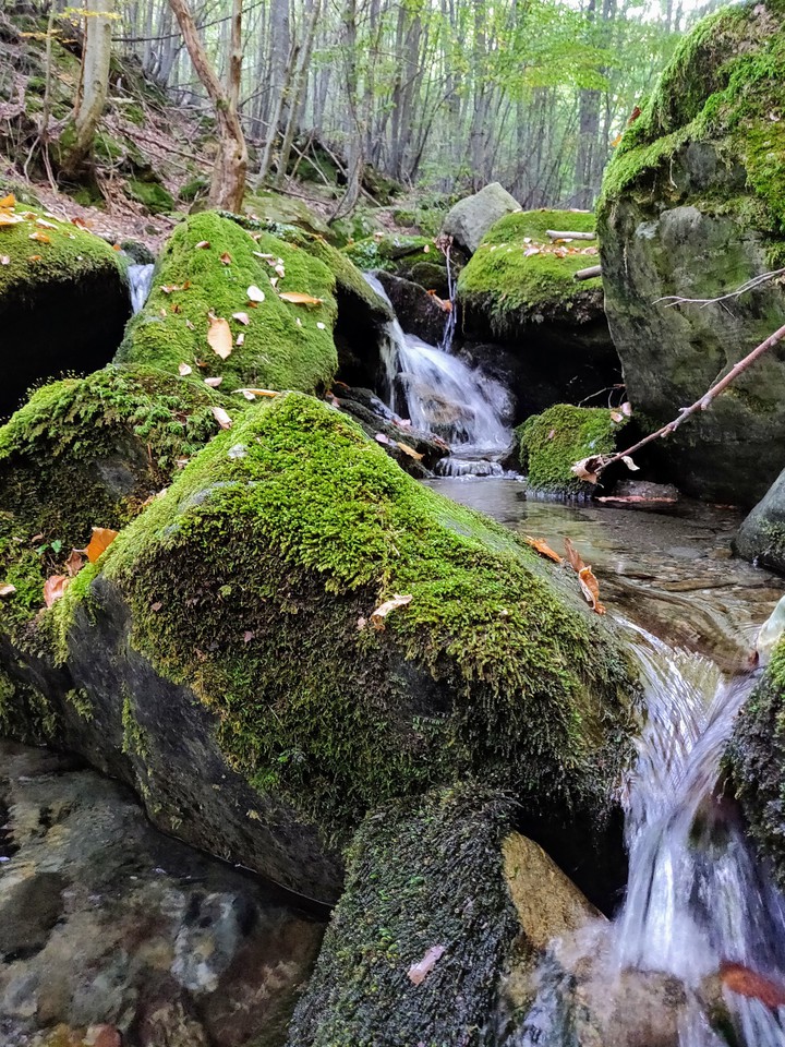 Beautiful Nature