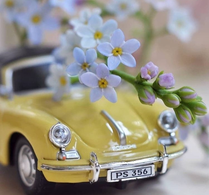 little car