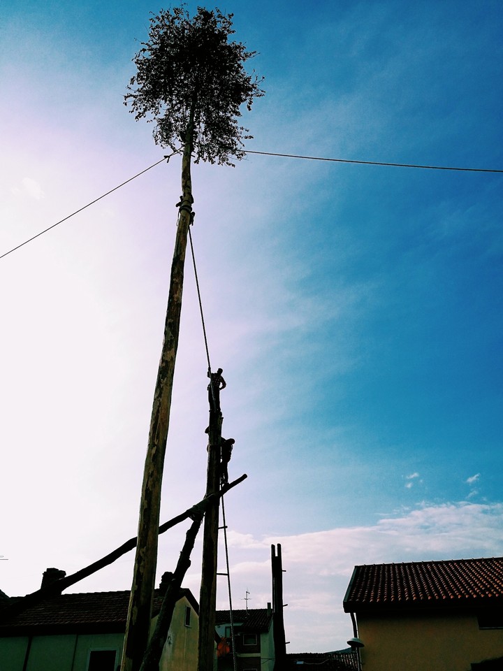 Maggio di Accettura