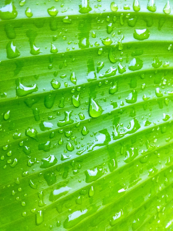 Gota De Agua