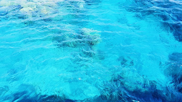 Coral reef