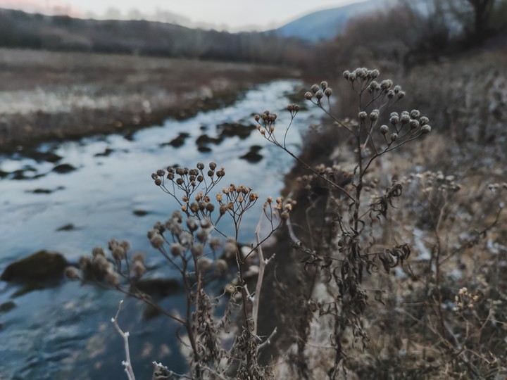 River