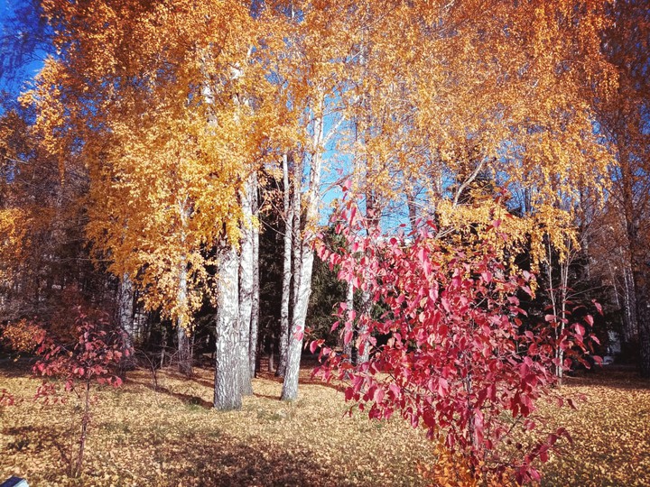 Осень