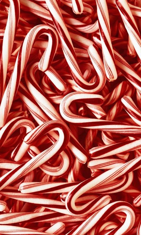 New Year