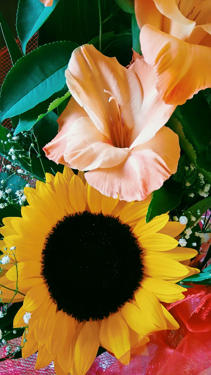 flowers