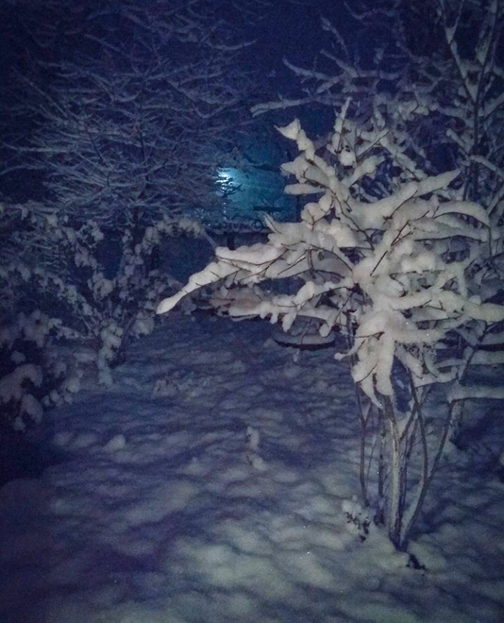 зима