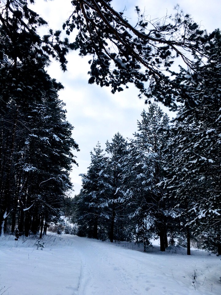 winter