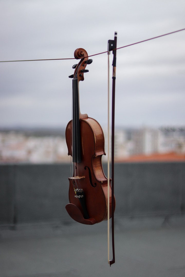 violin