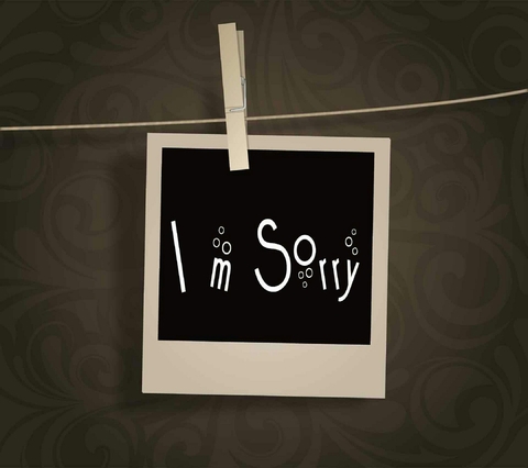 i m sorry