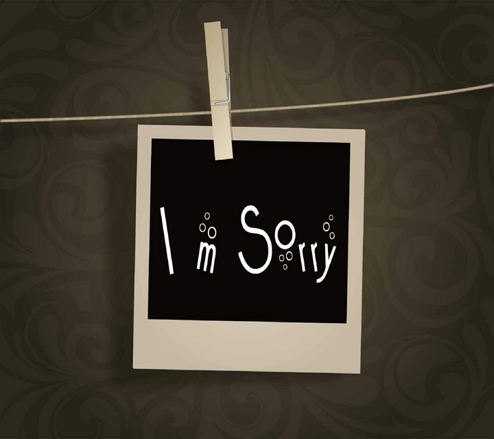 i m sorry