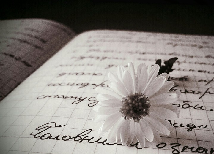 flower on the notes