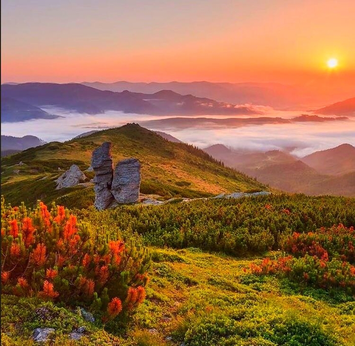 sunset