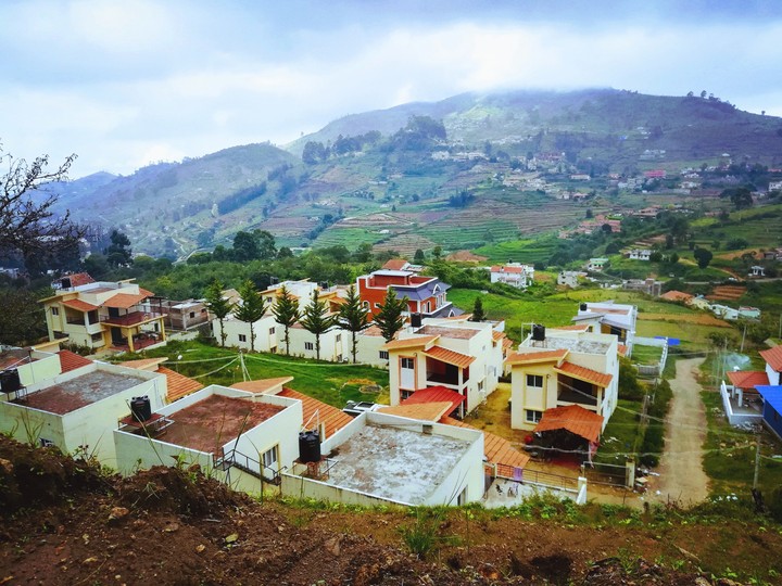 Estate