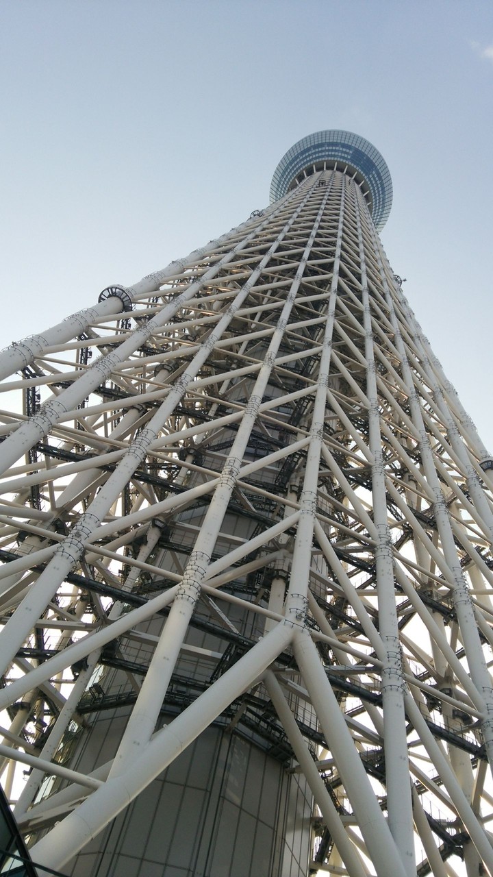 骨格
