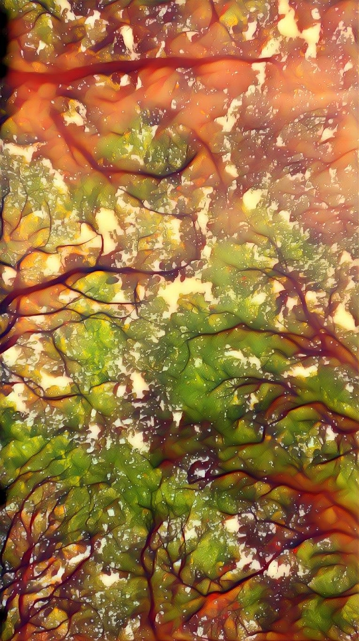 collision of paints
