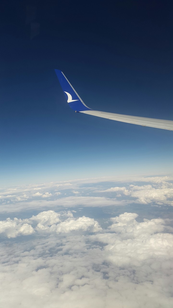 Flight