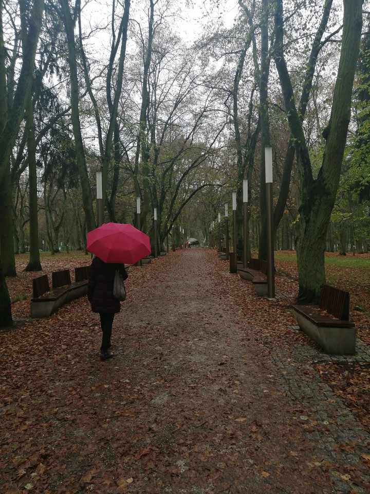 park
