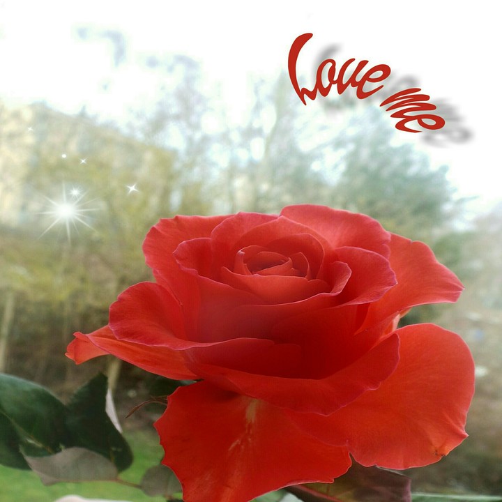 Love me