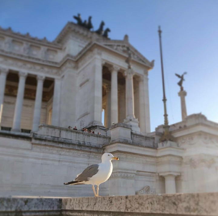 Roma
