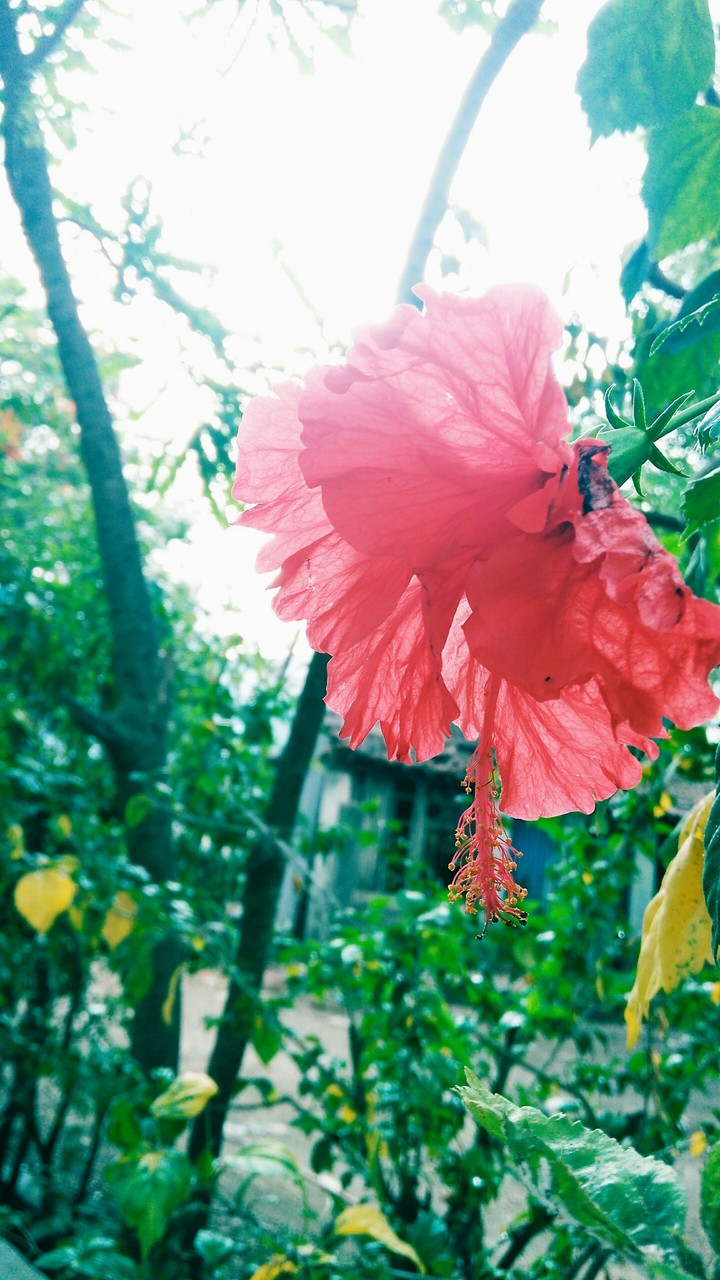 Beauty of Nature...