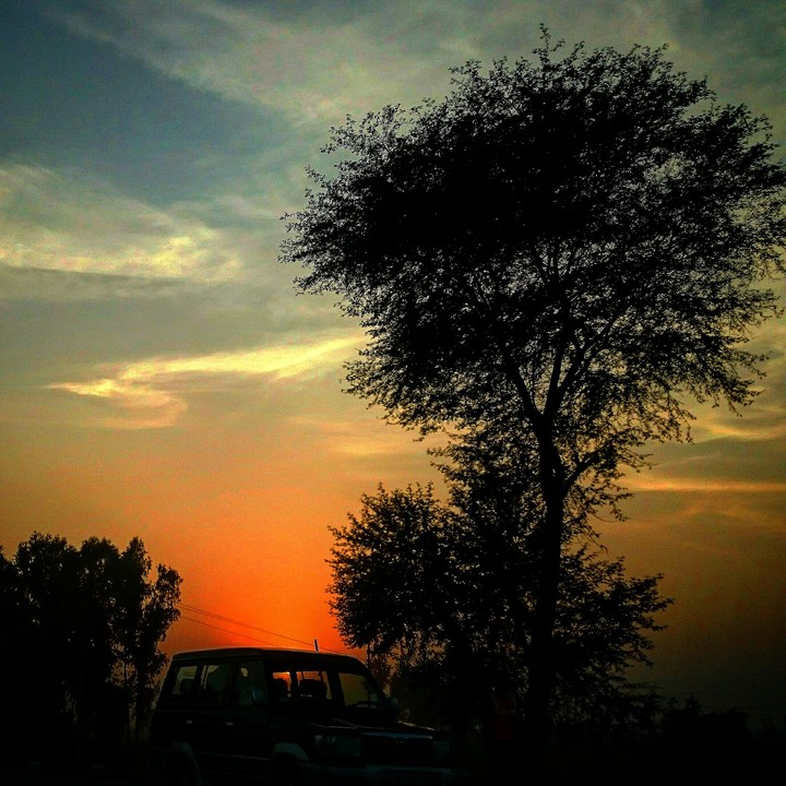 sunset