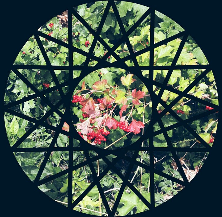 Berries