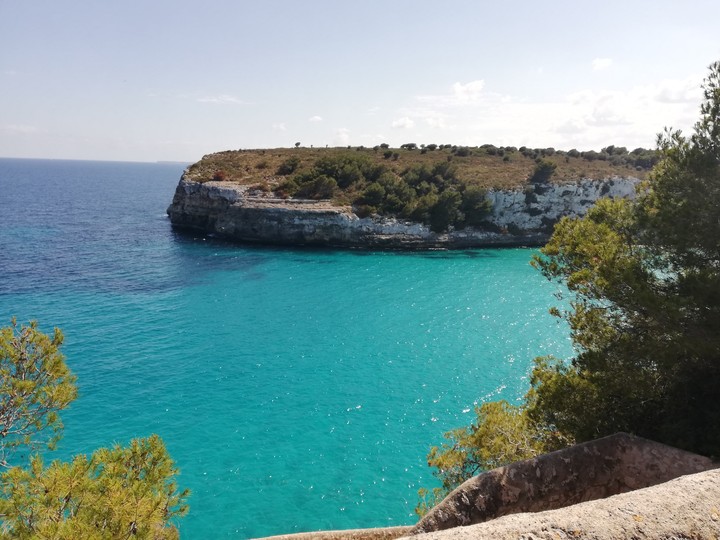 Sea