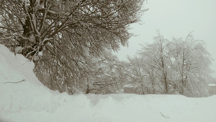 Snowscaper
