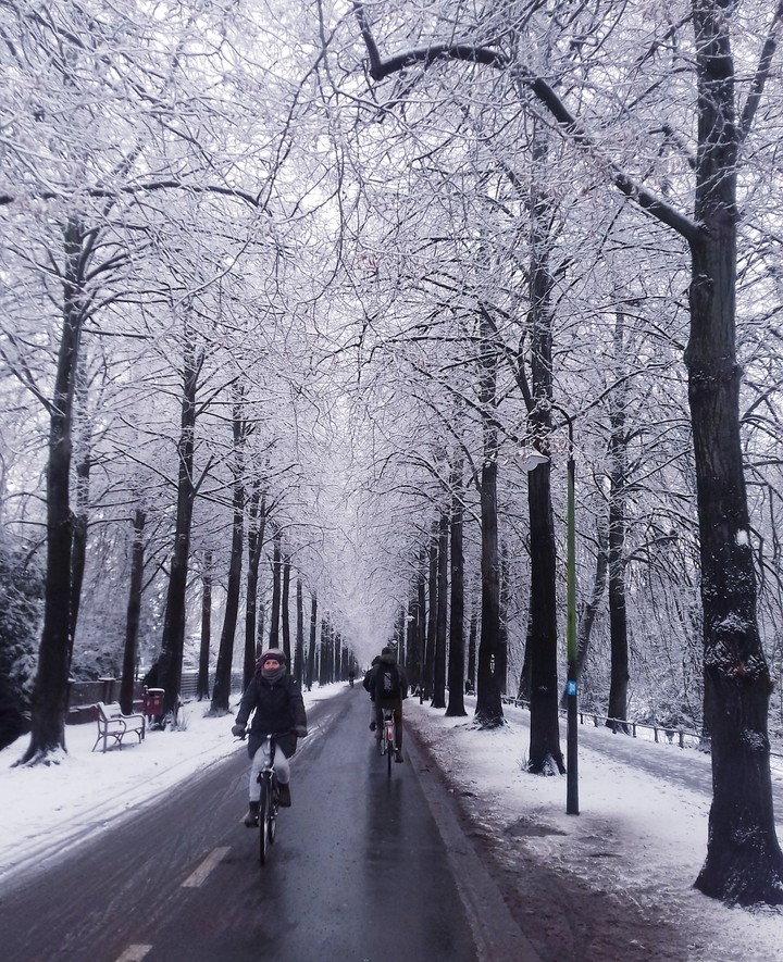 the road of winter