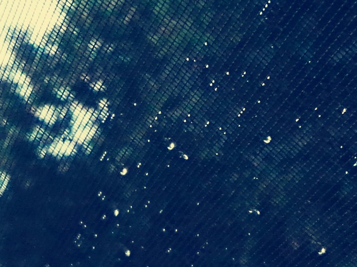 raindrops