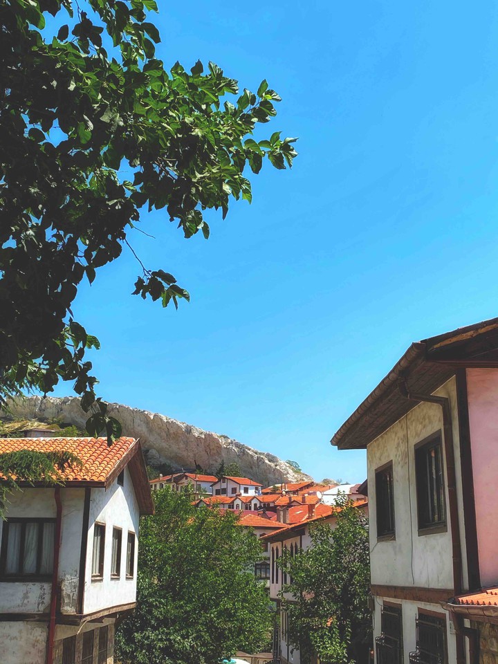 view