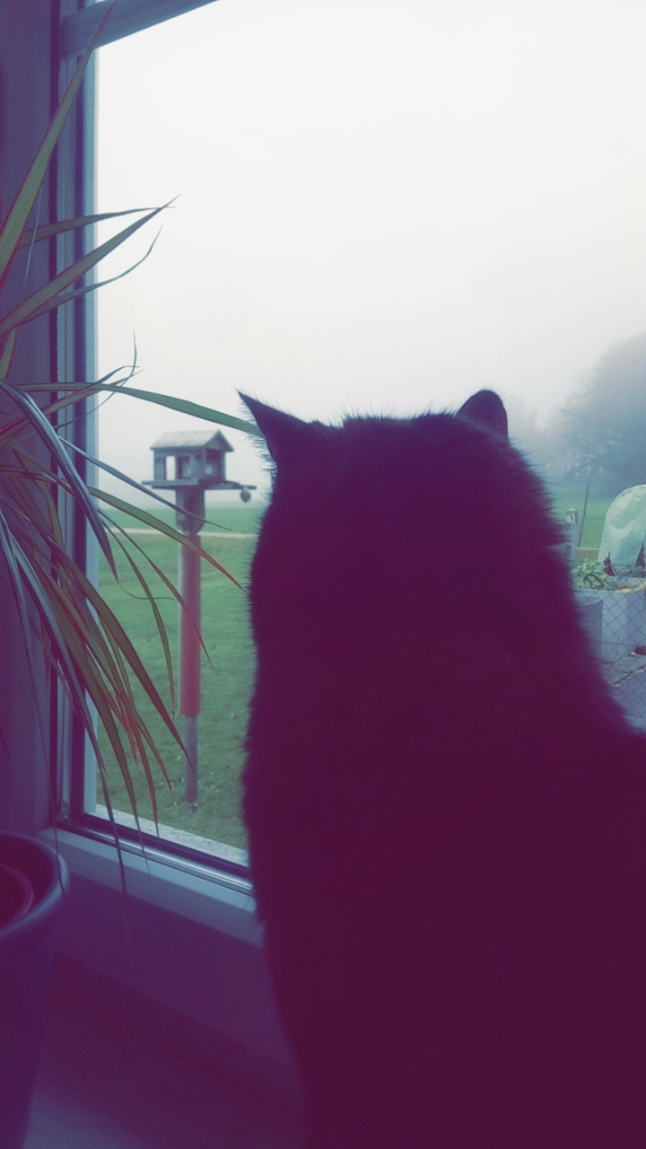 nothingness