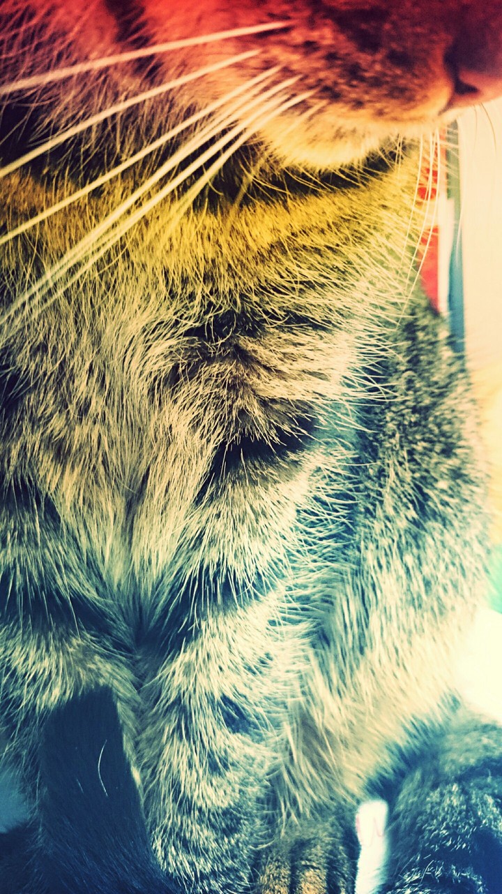 Sunday afternoon Tigga