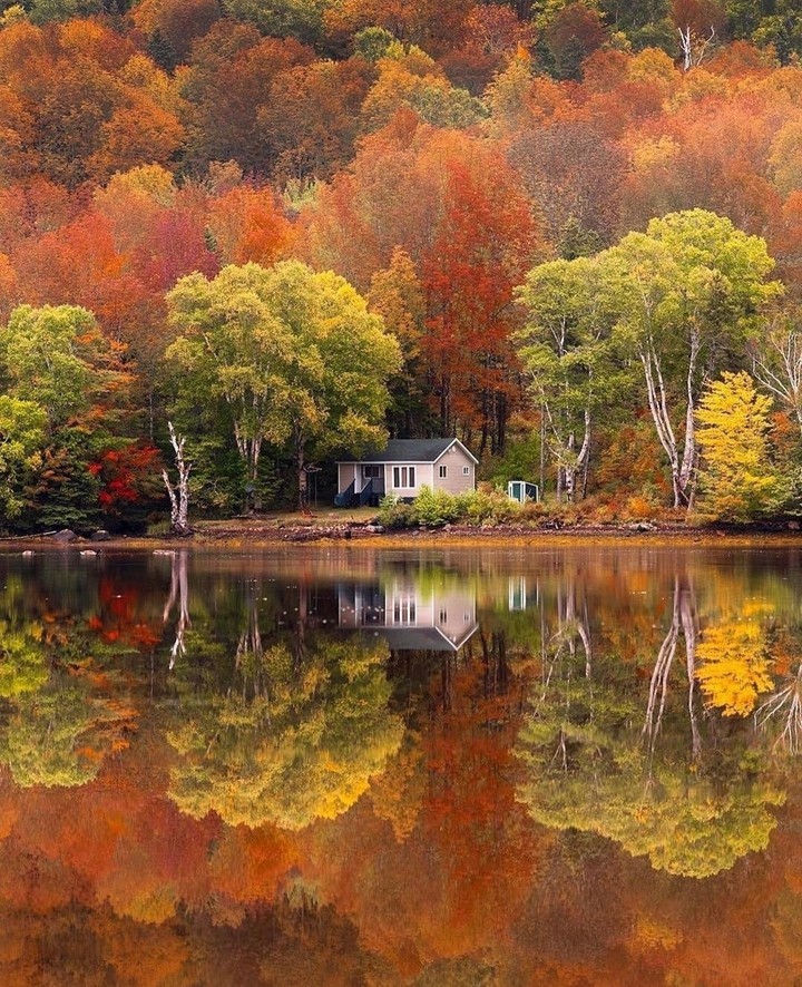 #autumn