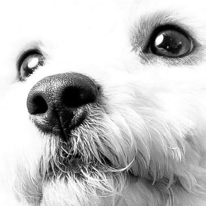 Murphy