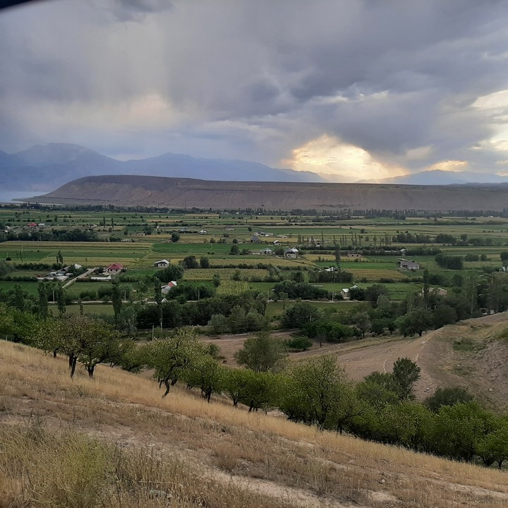 field