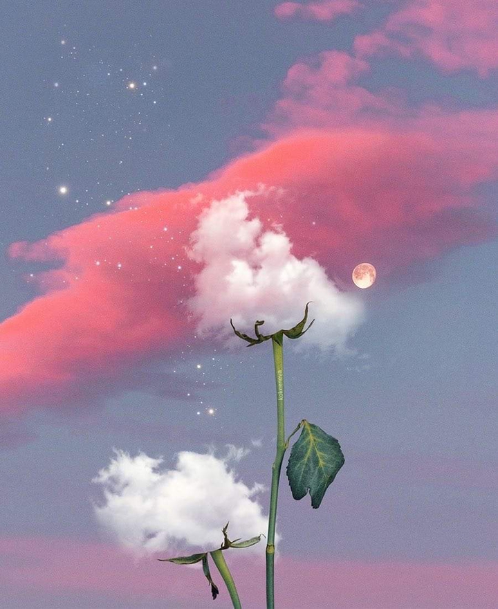 sky