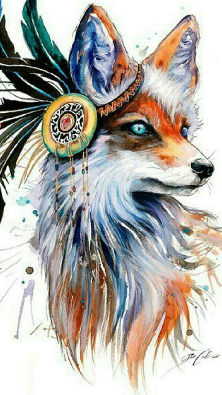 A fox