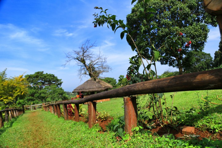 kisis country resort