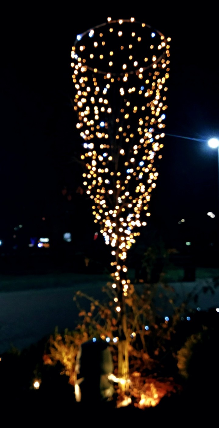 a champagne glass in garlands