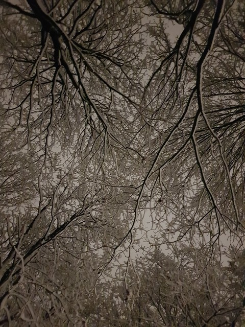winter