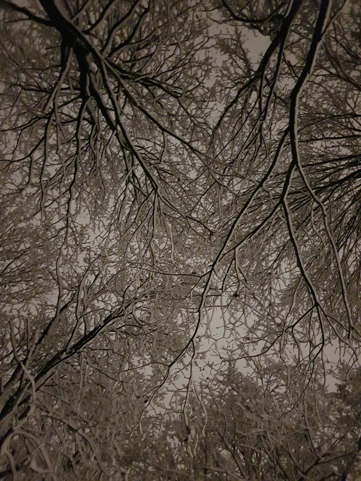 winter