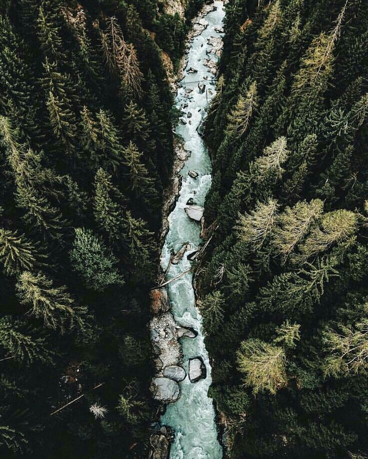 nature